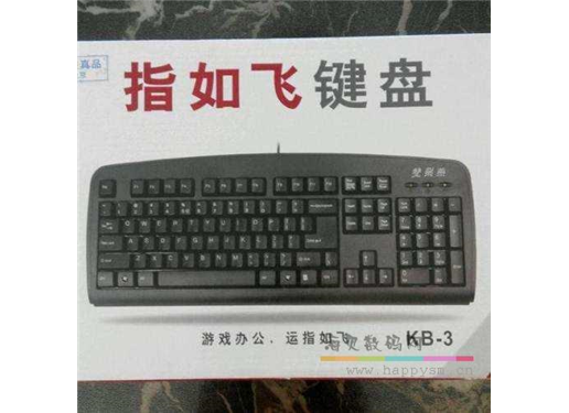 雙飛燕 KB-3 鍵盤