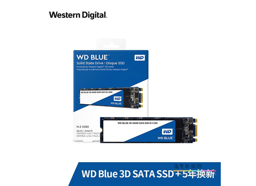 西部數據 藍盤 SA510  固態硬盤  M.2-2280 SATA 藍盤