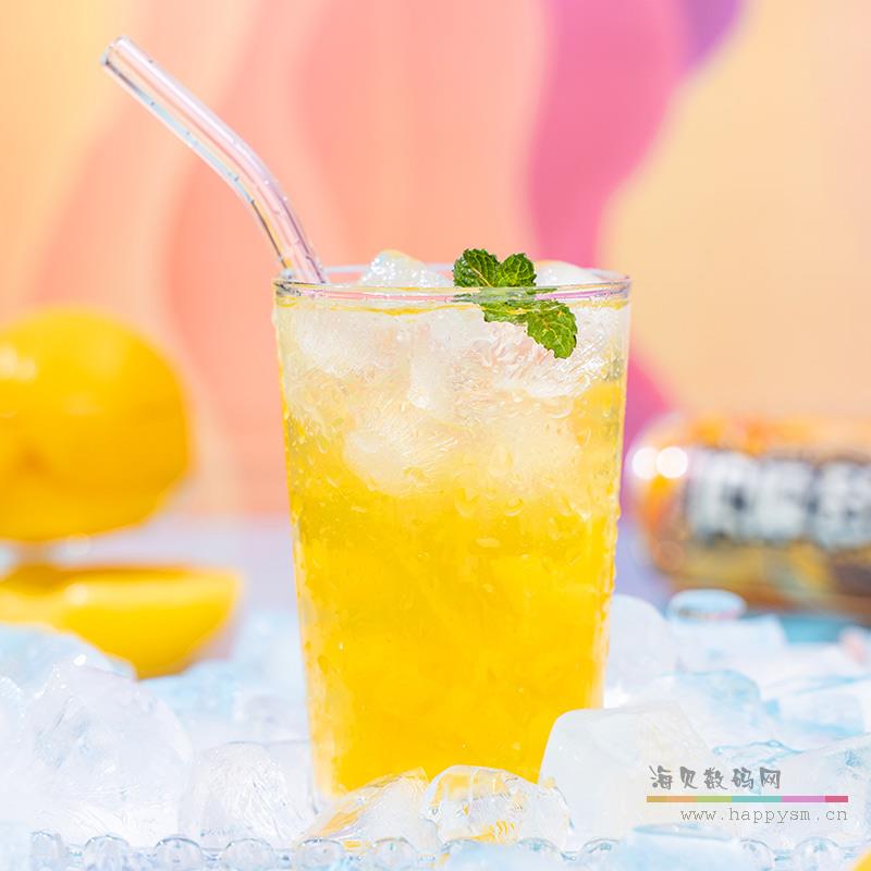 碭山黃桃 黃桃汁飲料 500ml
